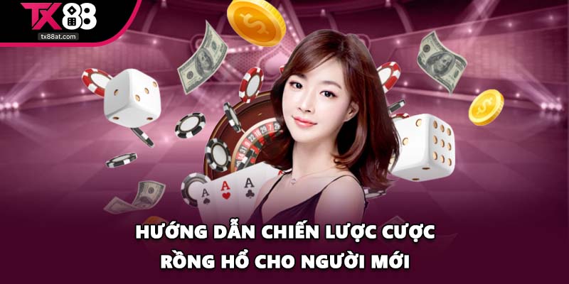 Hướng dẫn chiến lược cược Rồng Hổ cho người mới