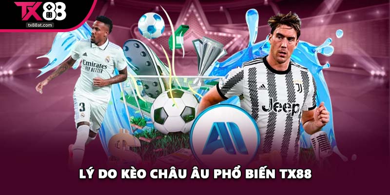 Lý do kèo châu Âu phổ biến TX88